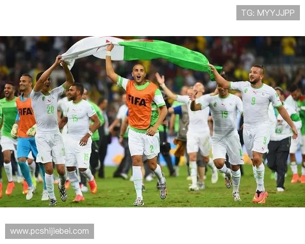 巴西世界杯决赛最激动人心的瞬间盘点